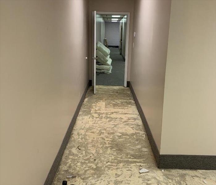 Carpet ripped up in hallway with taupe walls, door ways, and grey carpet