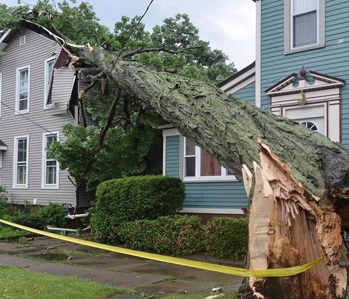 fallen tree on house after a storm